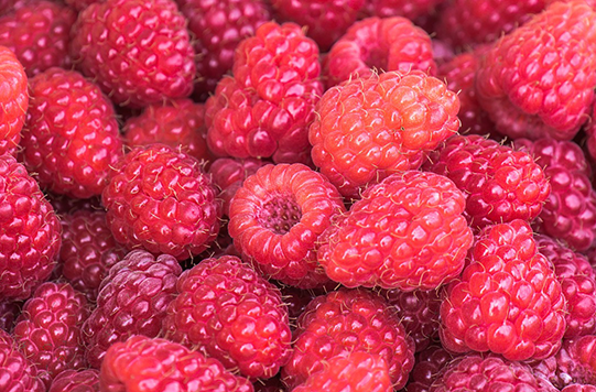 raspberries 541